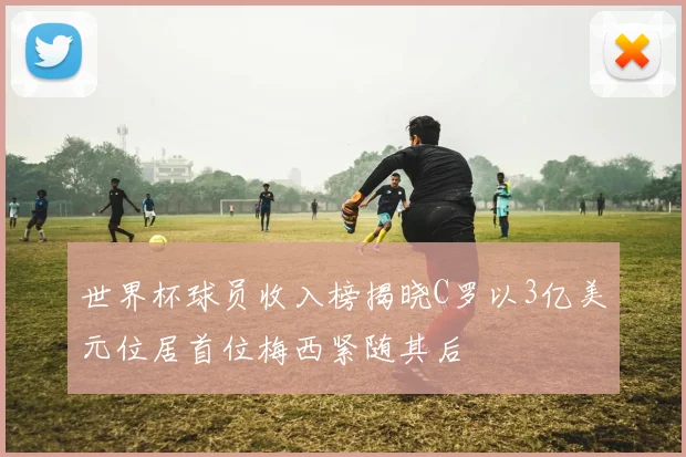 世界杯球员收入榜揭晓C罗以3亿美元位居首位梅西紧随其后