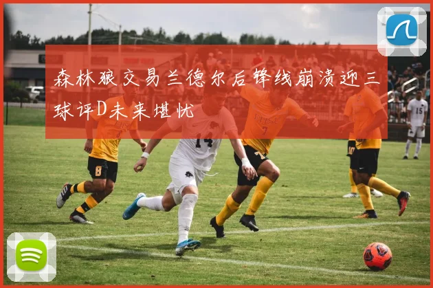 森林狼交易兰德尔后锋线崩溃迎三球评D未来堪忧