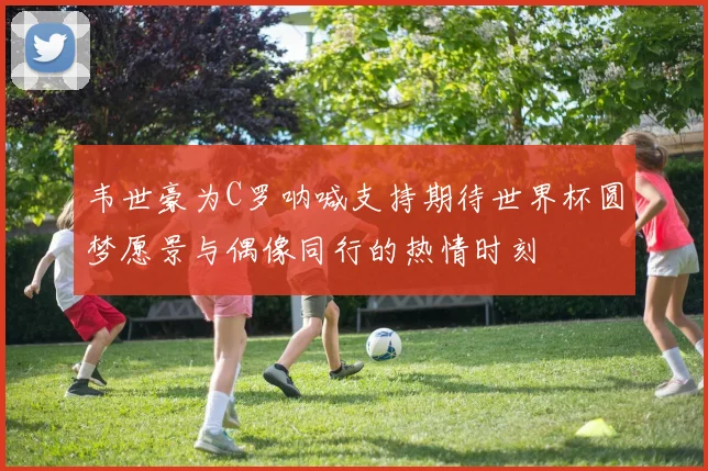 韦世豪为C罗呐喊支持期待世界杯圆梦愿景与偶像同行的热情时刻